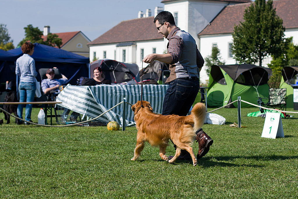Edison führt sein Gangwerk auf einer geraden Bahn vom Richter weg vor