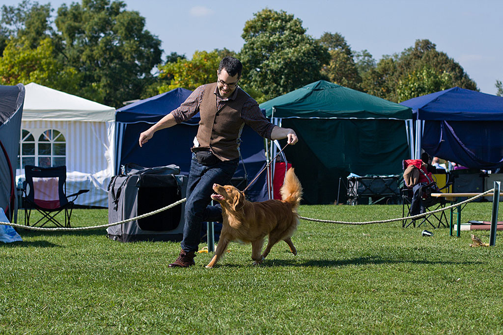 Edison läuft geführt von Stephan durch den Ring und schaut dabei zu ihm hoch