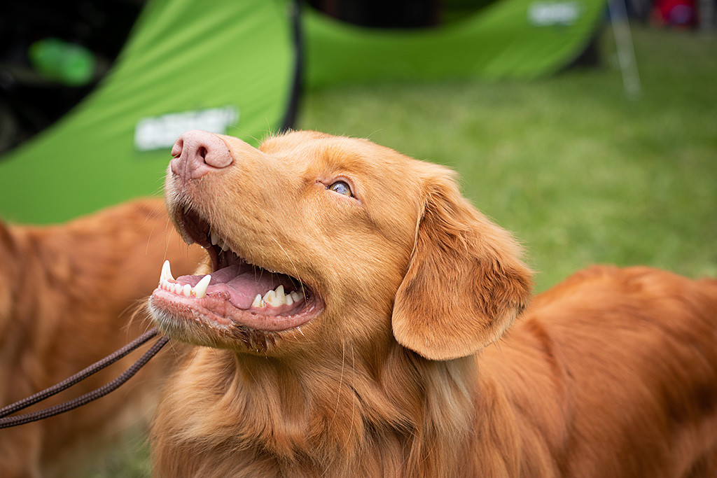Edisons Kopf in seitlicher Nahaufnahme während er lächelnd nach oben schaut