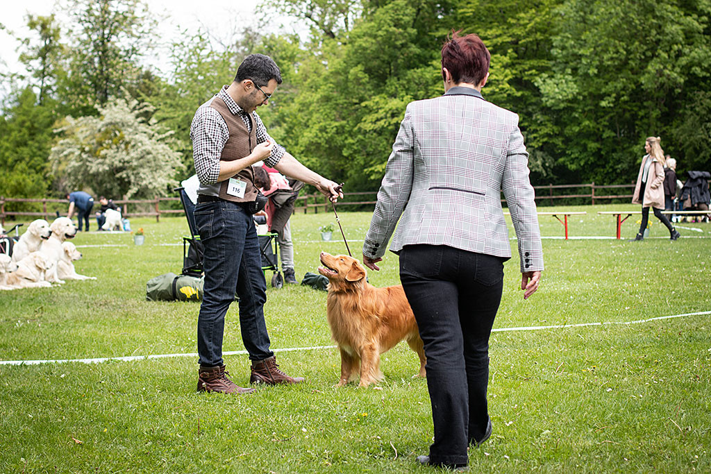 Edison steht vor Stephan im Ring, im Vordergrund schaut ihn sich die Richterin an