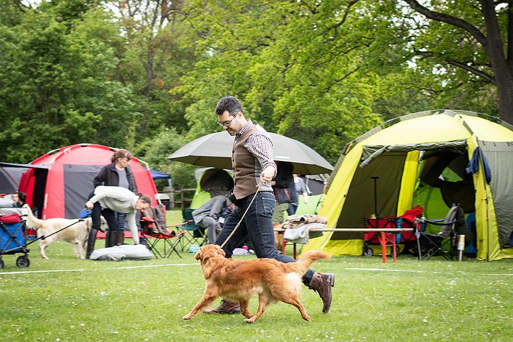 Ivalu fliegt förmlich an Stephans Seite durch den Ring