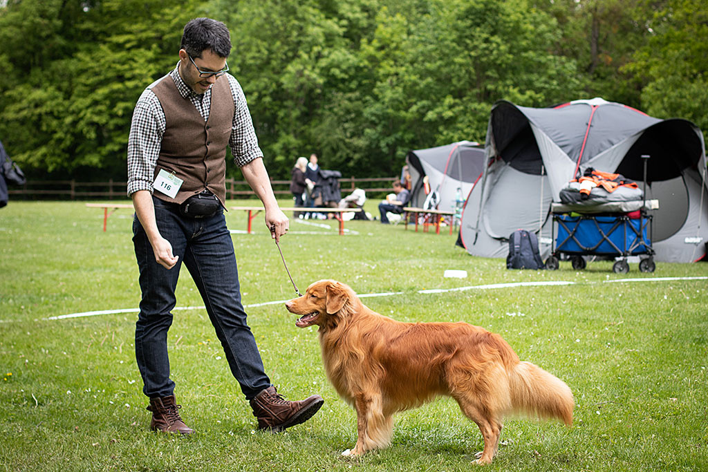 Edison steht vor Stephan im Ring und schaut dabei in Richtung des Richtertisches