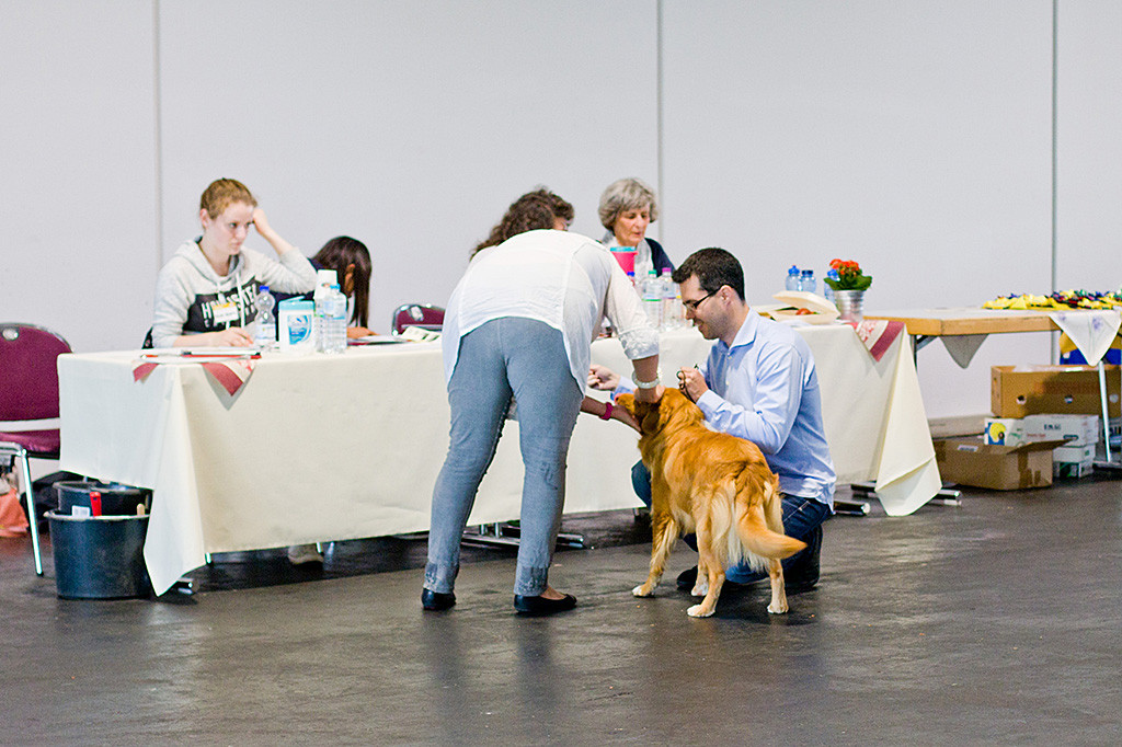 Edison steht zwischen Stephan und der Richterin, während sie seine Zähne anschaut