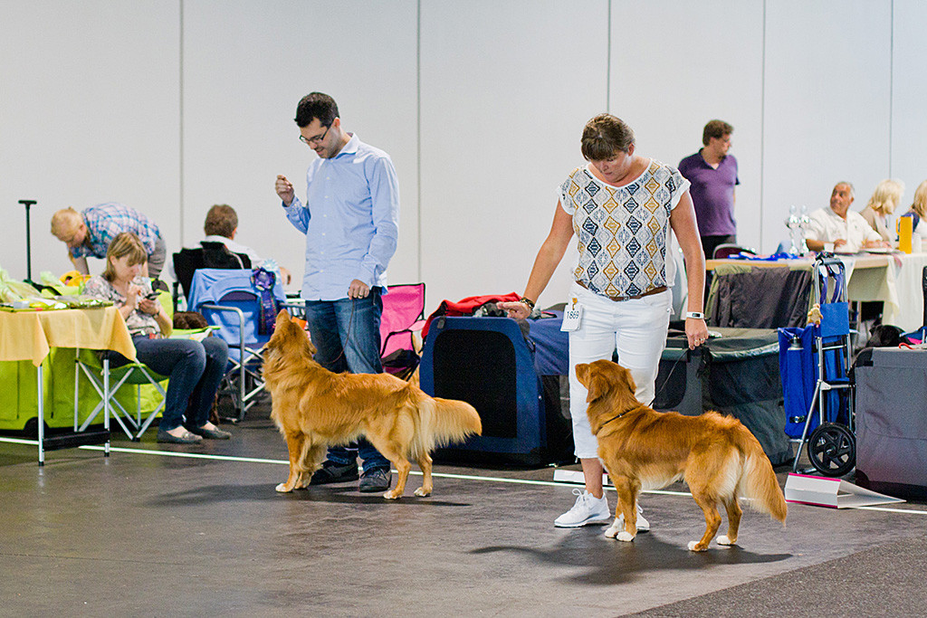 Edison steht vor Stephan links von einem weiteren Toller-Frauchen-Team