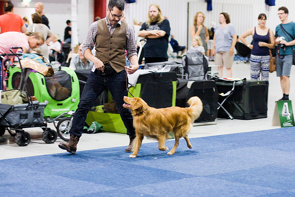 Edison läuft freudestrahlend an Stephans Seite durch den Ring