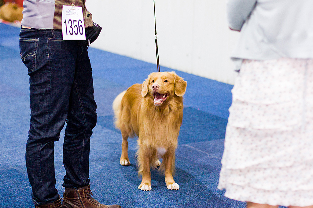 Edison lächelt zu Stephan hoch während sich die Richterin ihn anschaut