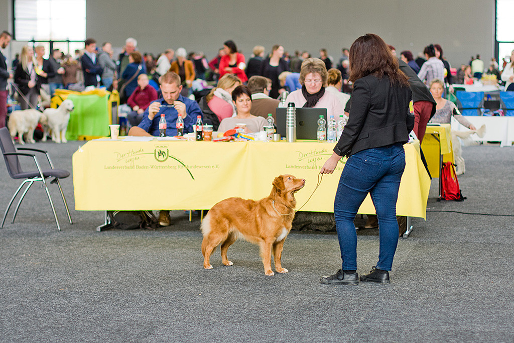 »Sheshebens Hunter Citali Ivalu« steht vor dem Richterpult