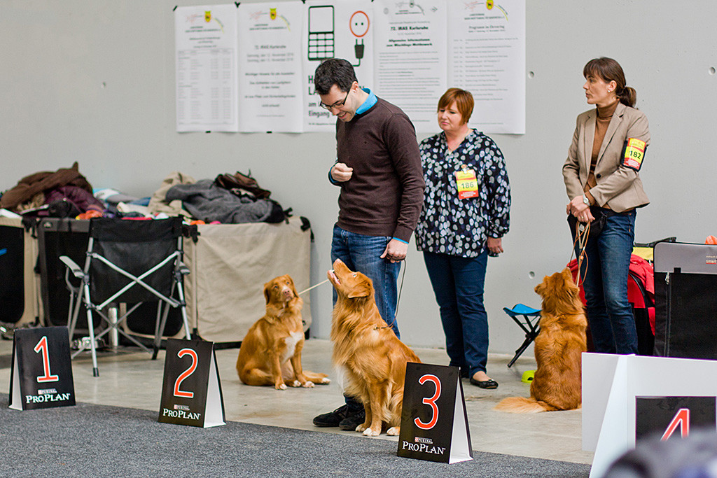 Edison schaut zu Stephan hoch, der zu ihm herunter schaut, beide lächeln