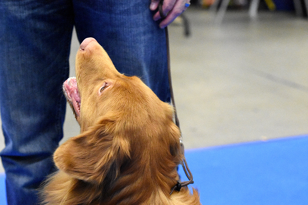 Edison schaut vor Stephan sitzend zu ihm nach oben