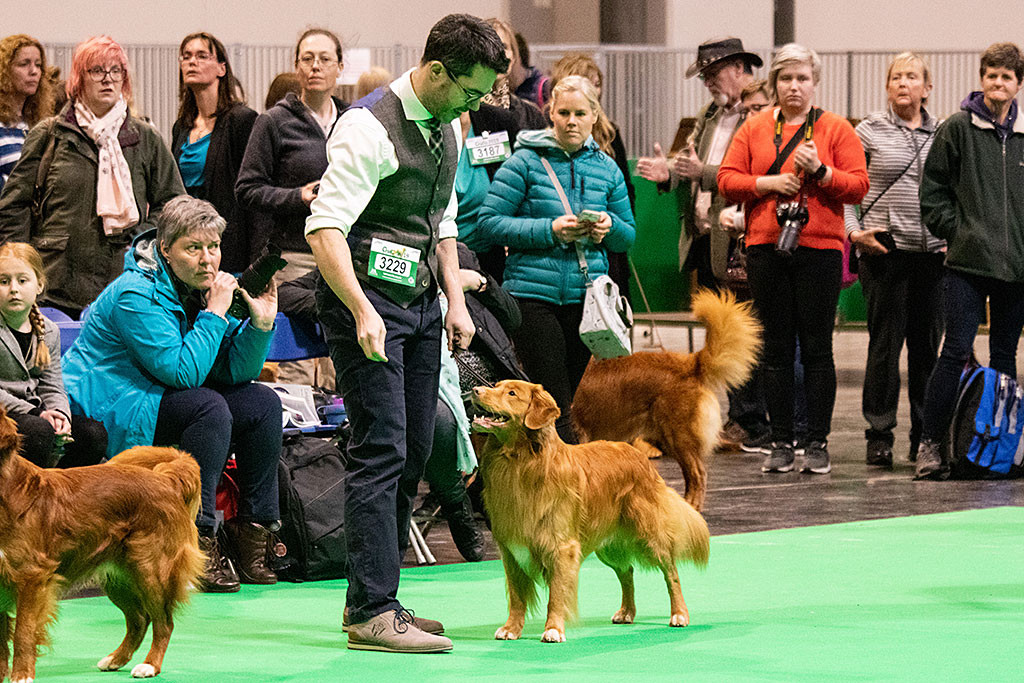 Edison, gerade in die Shortlist gewählt, steht freudestrahlend vor Stephan in Pose