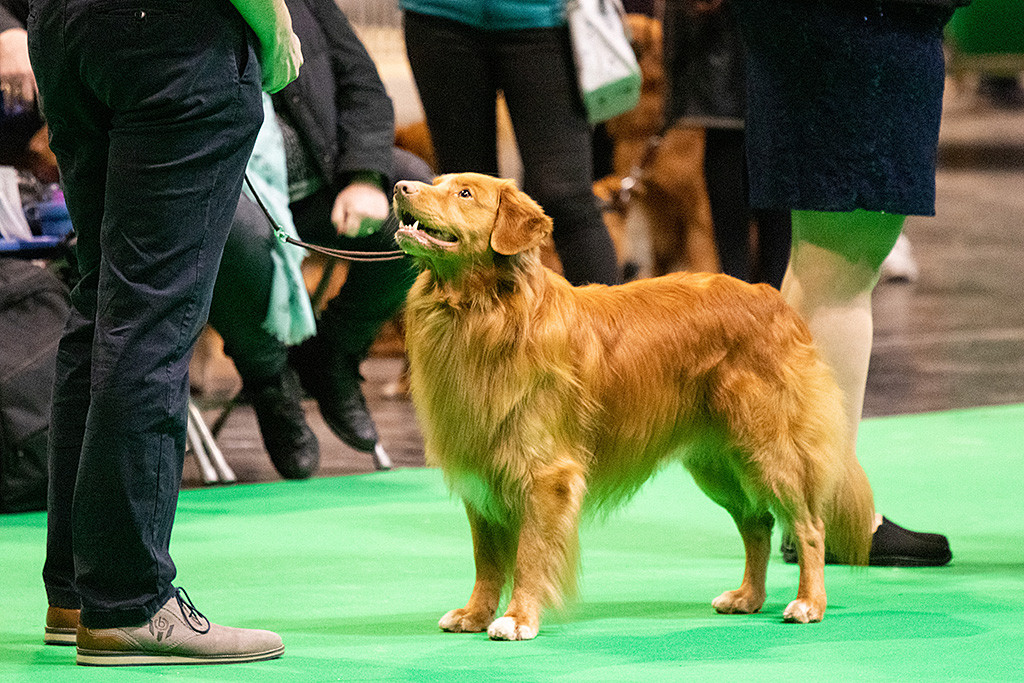 Edison steht frontal vor Stephan und lächelt zu ihm hoch