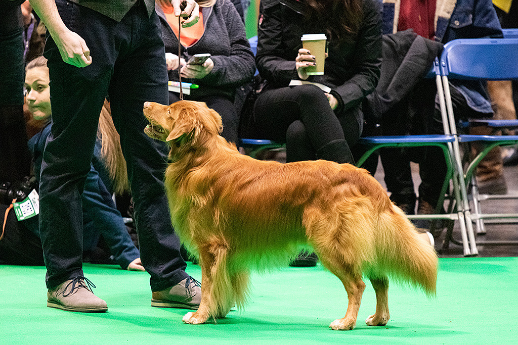 Edison steht vor Stephan in Pose und schaut zu seiner Hand