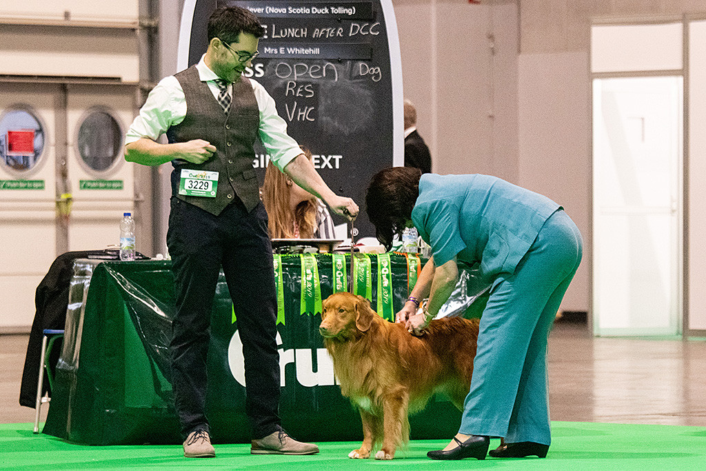 Edisons Fell wird von der Richterin begutachtet