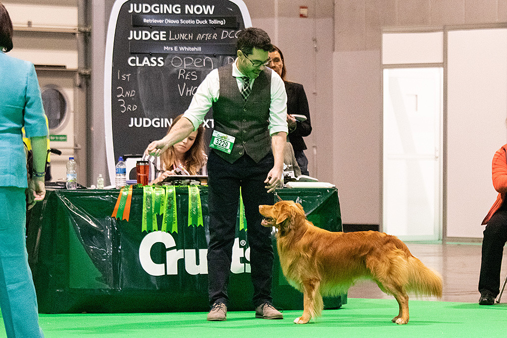Edison steht an der Seite von Stephan vor dem Richtertisch während die Richterin sich ihn anschaut