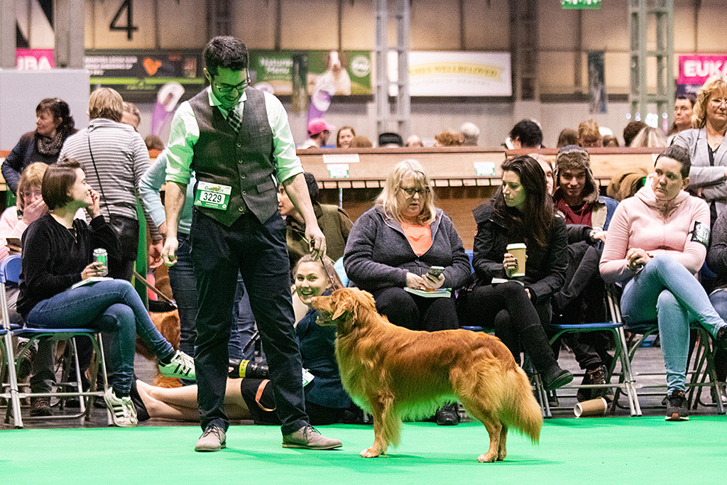 Edison steht vor Stephan im Ring und lächelt zu ihm hoch