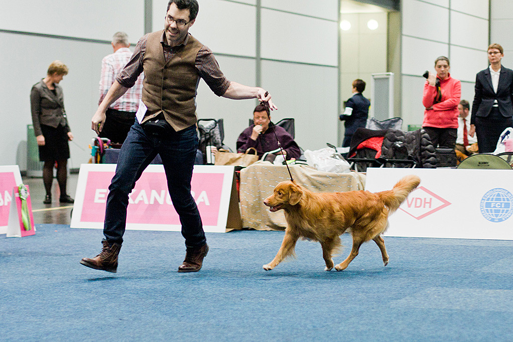 Edison läuft geführt von Stephan auf der Geraden in Richtung Richterin