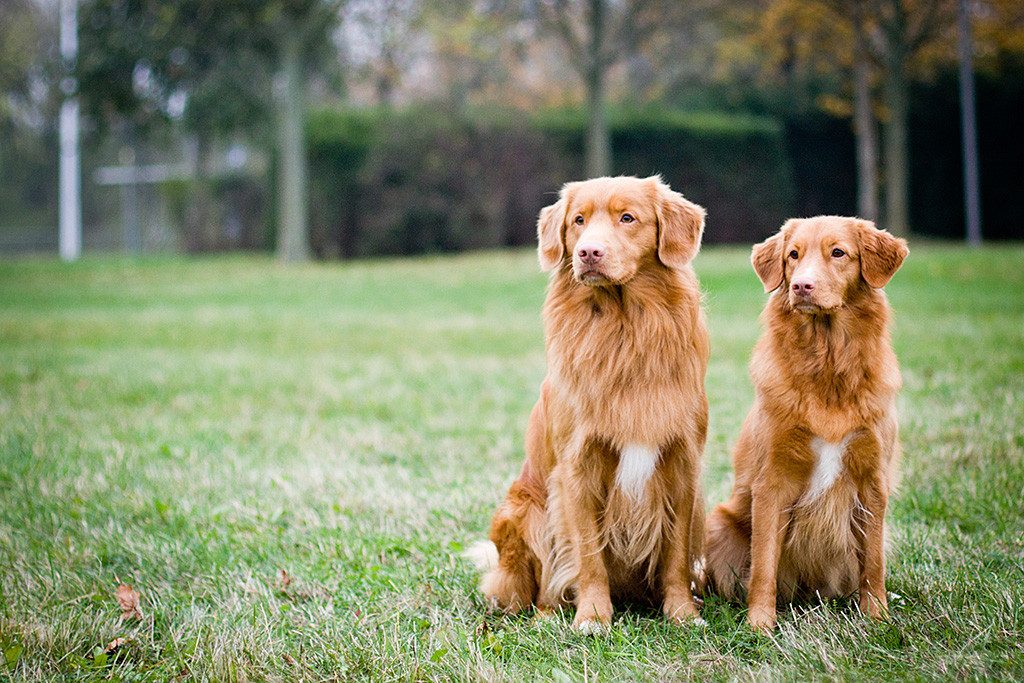 Edison sitzt neben Ivalu, beide schauen nach links