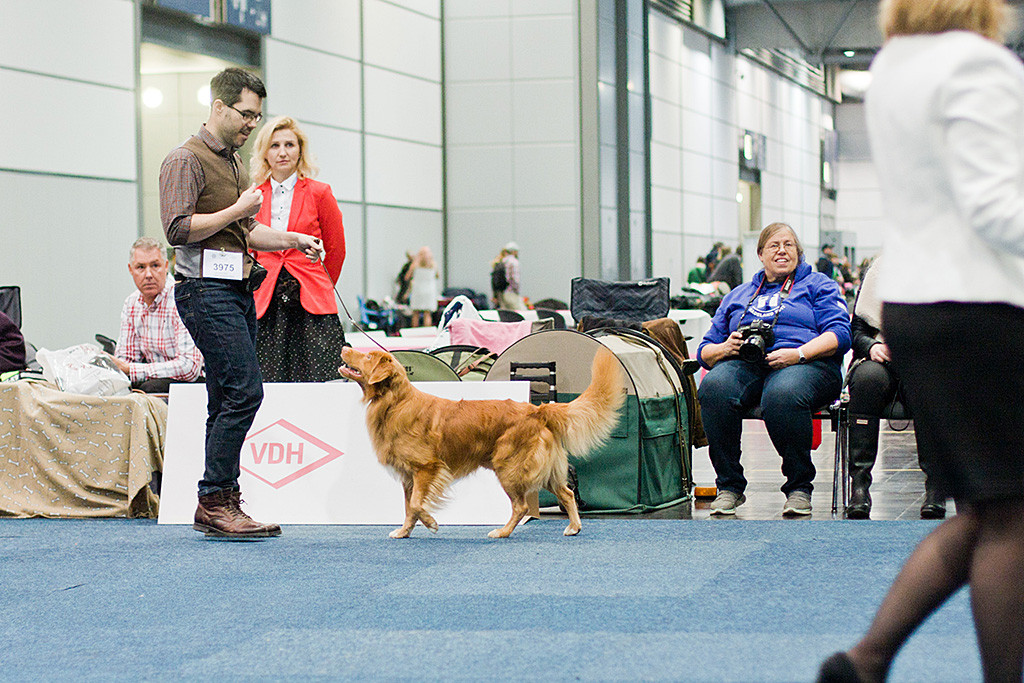 Edison fokussiert Stephan, der ihm zeigt, näher auf ihn zuzuschreiten