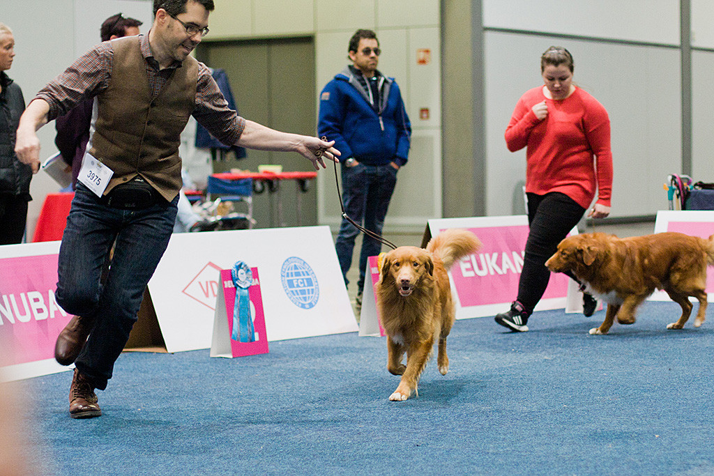 Edison läuft ein weiteres Mal an Stephans Seite durch den Ring