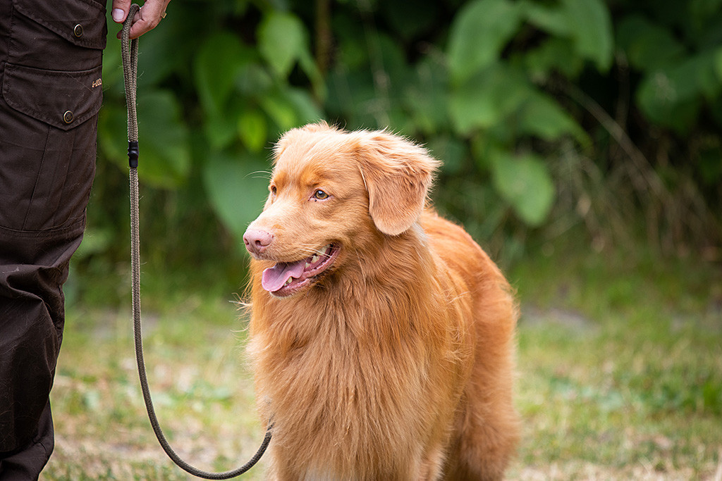 Edison steht an Stephans Seite und lächelt zufrieden