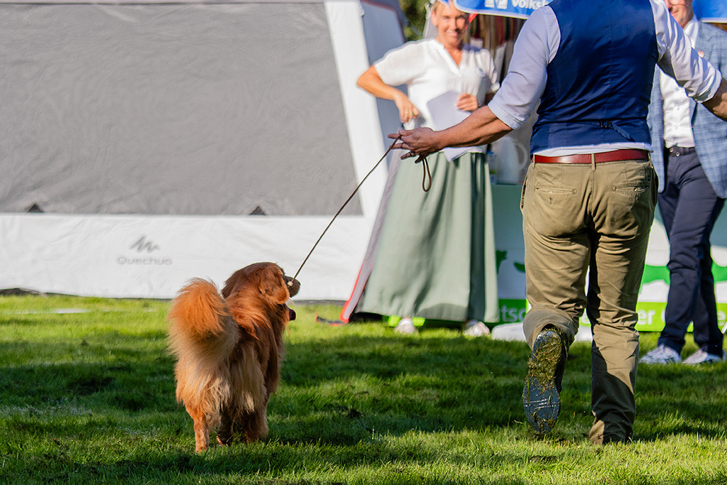 Newton bei der Gangwerkprobe auf den Richter zu