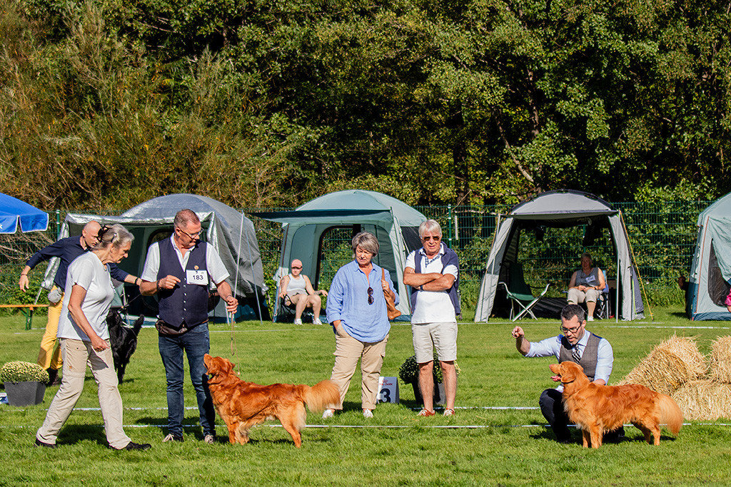 Newton steht neben dem Gewinner der Championklasse während die Richterin beide begutachtet