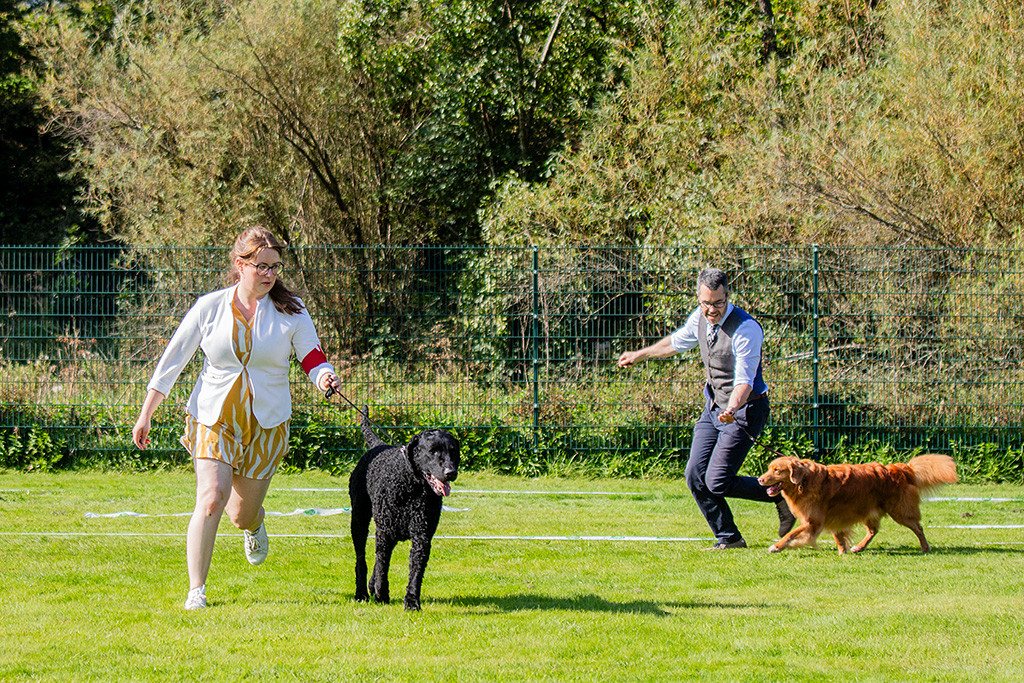 Edison läuft an Stephans Seite zusammen mit Curly Samu und Ann-Kathrin durch den Ring