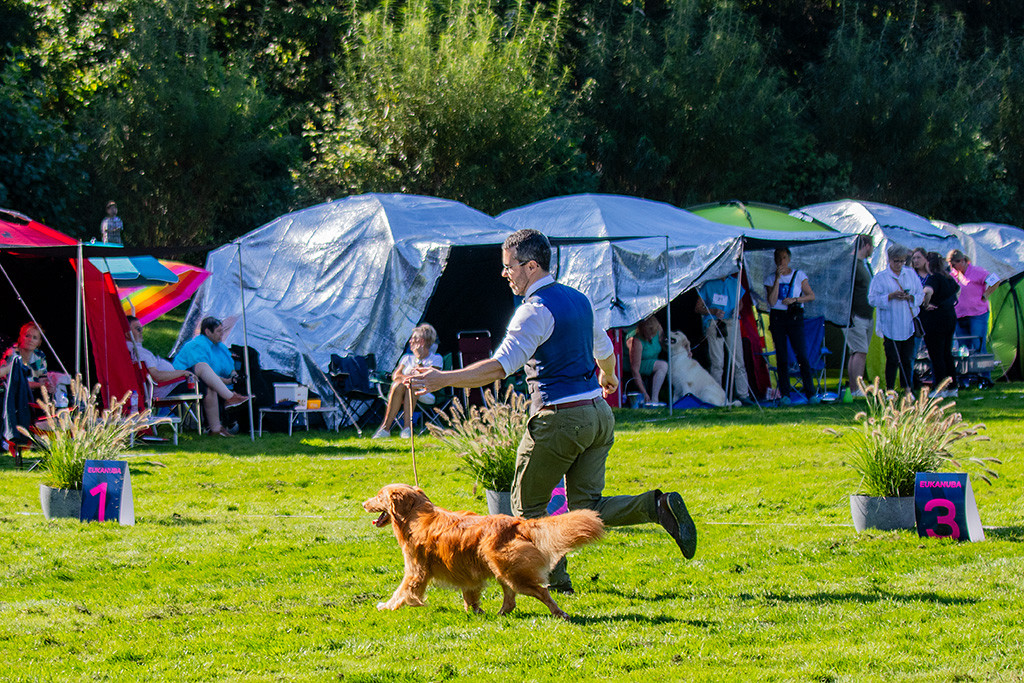 Newton fliegt im perfekten Kreuzgang an Stephans Seite durch den Ring