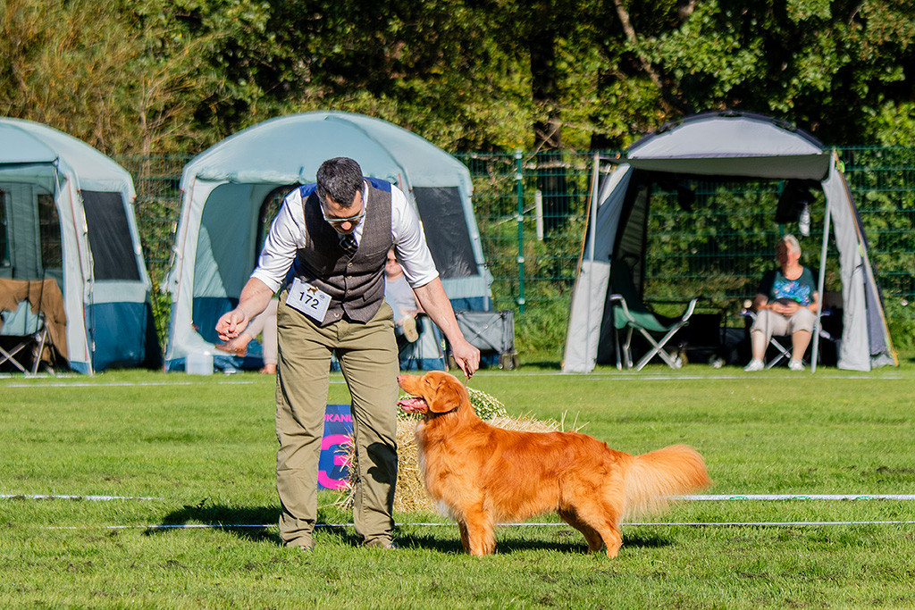 Newton steht in perfekter Pose im Seitenprofil im Gras, dahinter steht Stephan, der zu ihm runter schaut