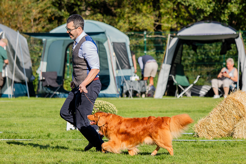 Edison läuft pfeilförmig an Stephans Seite durch den Ring