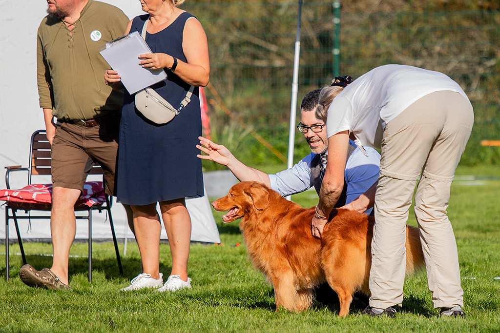 Edison wird von der Richterin begutachtet, die seinen Rücken abtastet, Stephan kniet dahinter