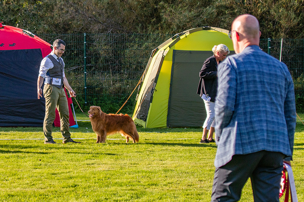 Edison steht lächelnd vor Stephan im Gras während der Richter mit der BIS-Schleife zu ihm rüberschaut