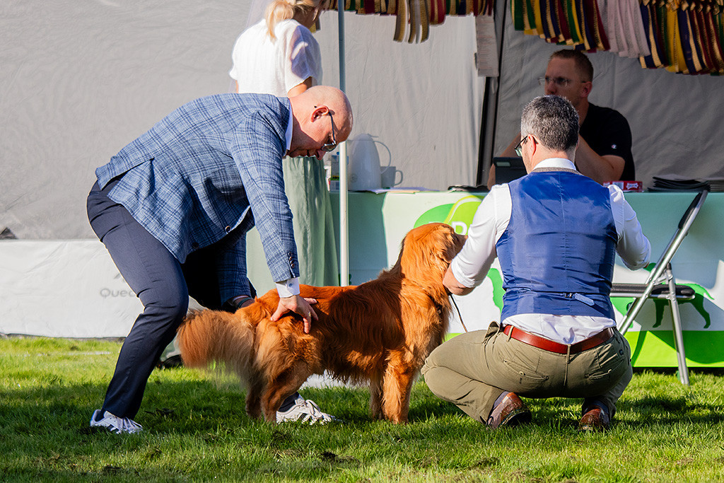 Newton wird vom Richter begutachtet, der mit seinen Händen die Hinterbeine ausmisst, Stephan kniet daneben