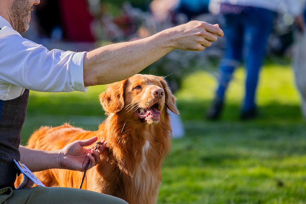 Newton steht im Gras vor dem Richtertisch und fixiert lächelnd die Hand von Stephan an, der hinter ihm kniet