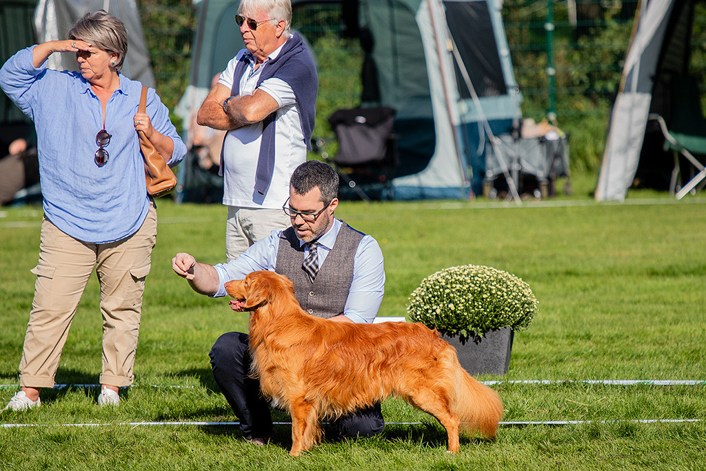 Newton steht im Gras und fixiert lächelnd die Hand von Stephan an, der hinter ihm kniet