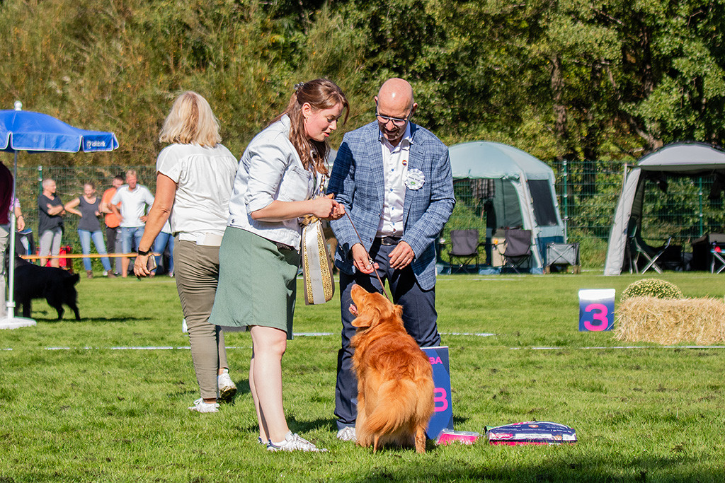 Edison schaut hoch zu Ann-Kathrin und dem Richter, die beide mit ihm flirten