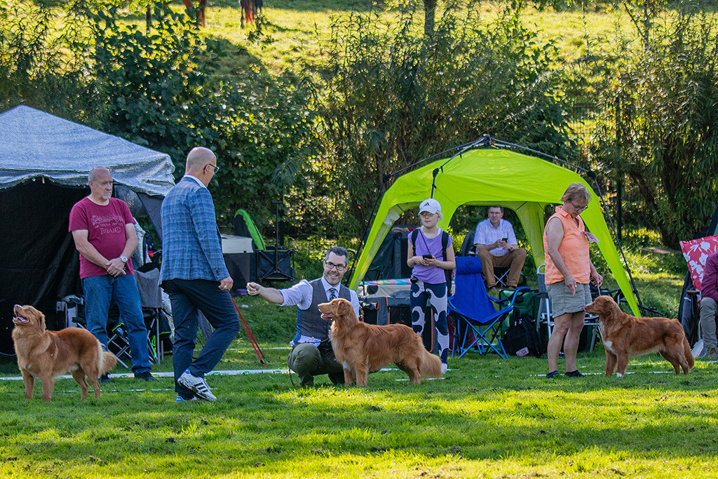 Newton steht in Reihe mit den anderen Tollern und wird dabei vom Richter beäugt