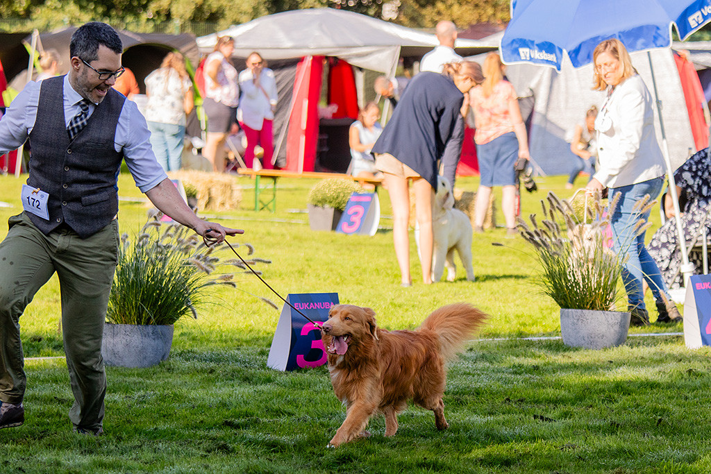 Newton fliegt an Stephans Seite durch den Ring und lässt dabei lächelnd die Zunge zur Seite raushängen