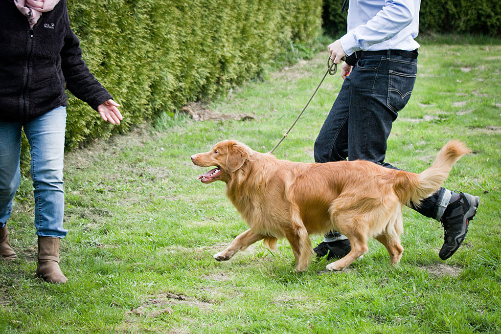 Edison läuft lächelnd mit Stephan auf die Richterin zu