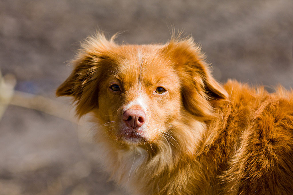 Frieda dreht sich zur Kamera