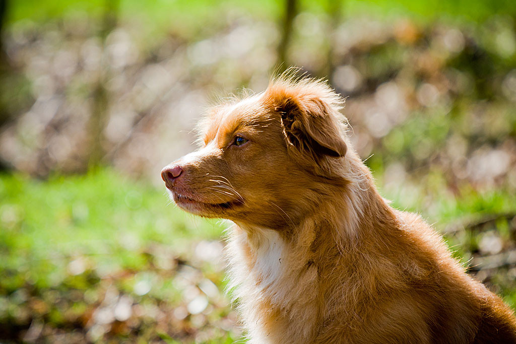 Frieda von der Seite