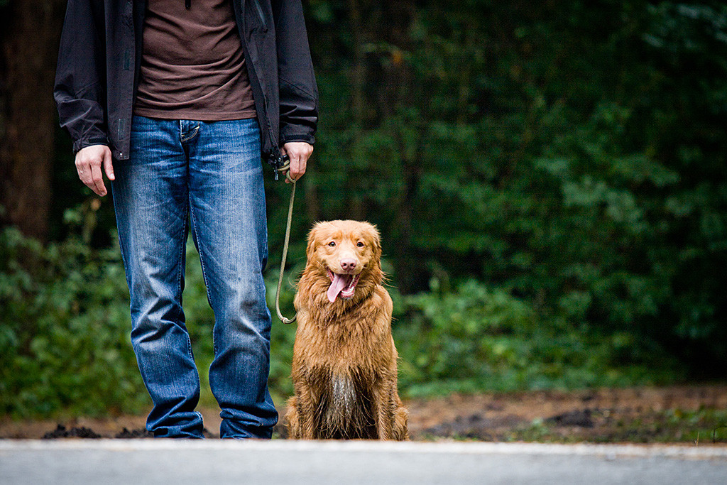 Edison sitzt angeleint neben Stephan am Straßenrand und lässt die Zunge heraushängen