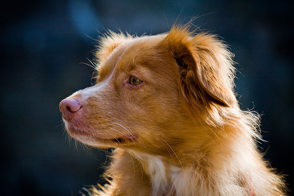 Friedas Kopf in Nahaufnahme während sie zur Seite schaut
