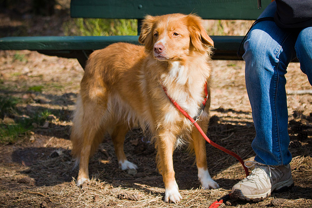 Frieda muss warten während Sigird auf der Bank sitzt