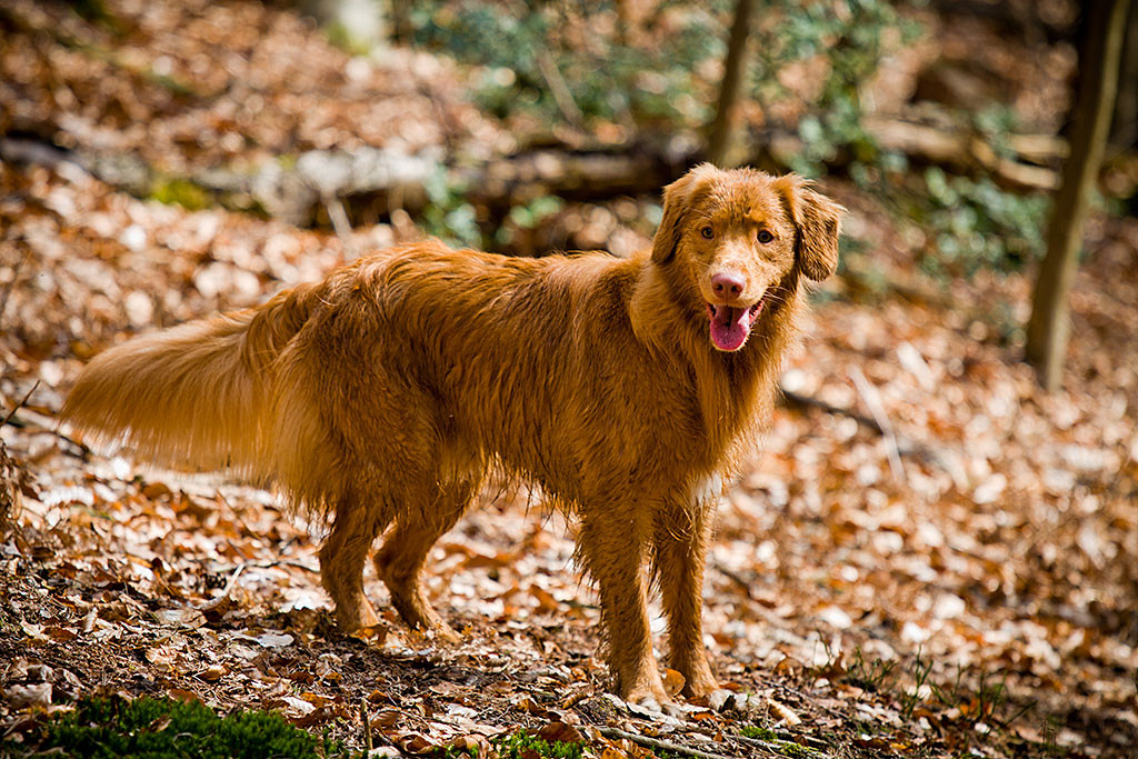 Edison grinst schelmisch während er immer noch nass ist