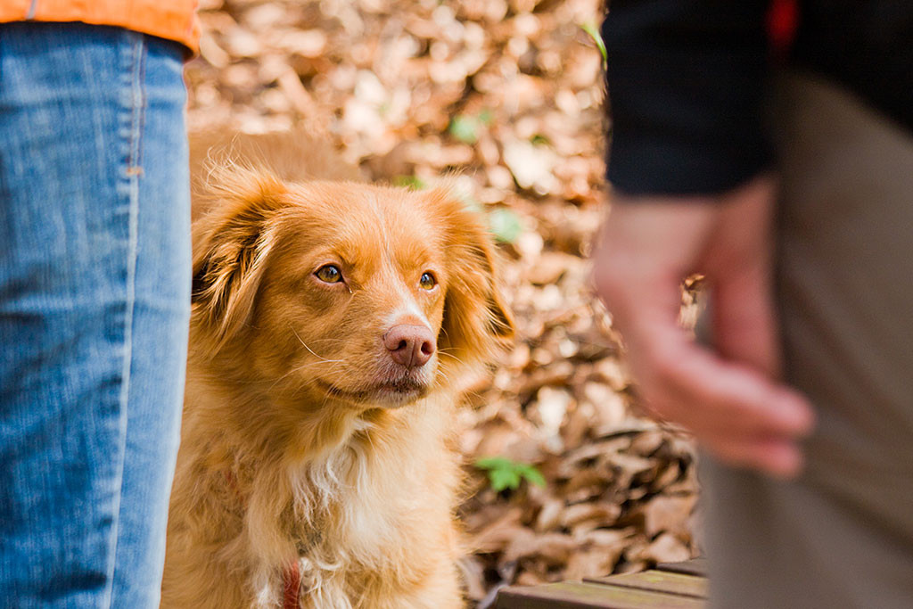 Frieda schaut fragend zu Theo hoch