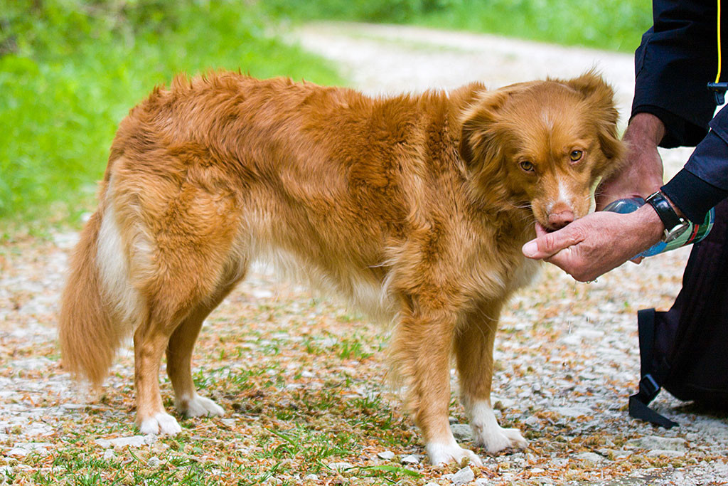 Frieda trinkt aus Theos Hand