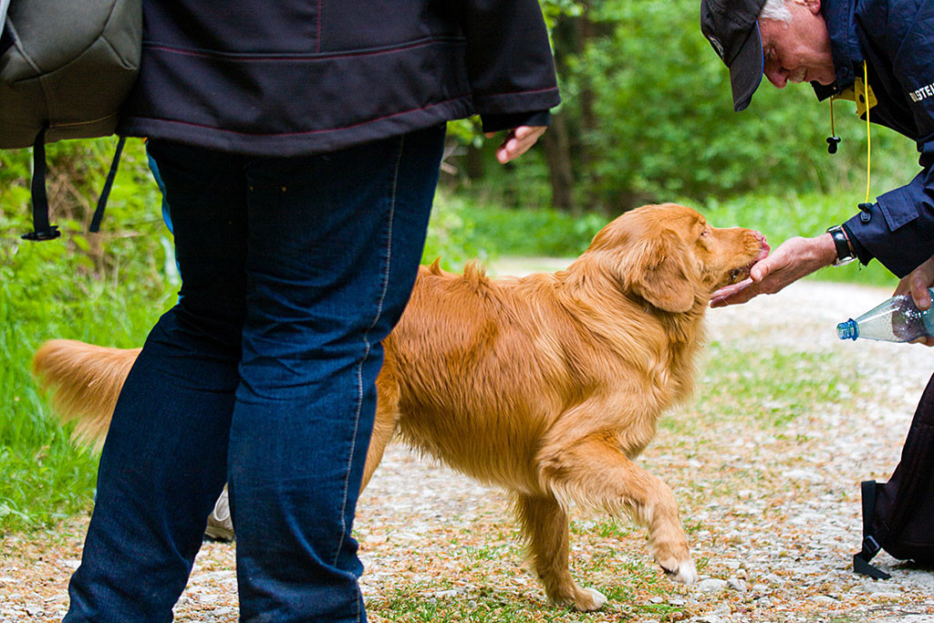 Edison trinkt aus Theos Hand