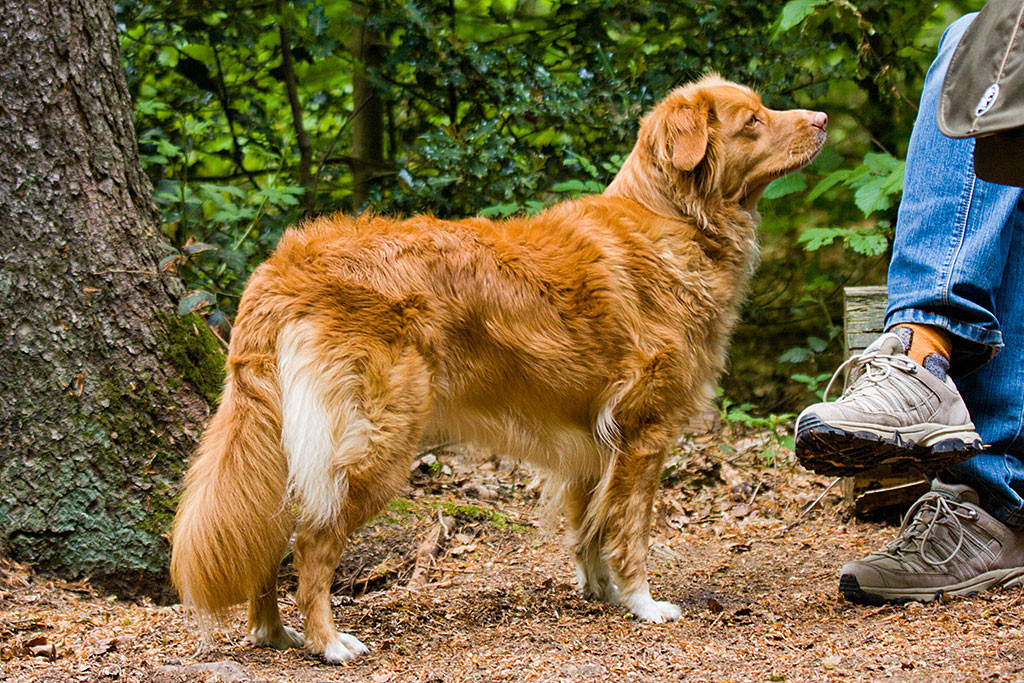 Frieda steht vor Sigrid