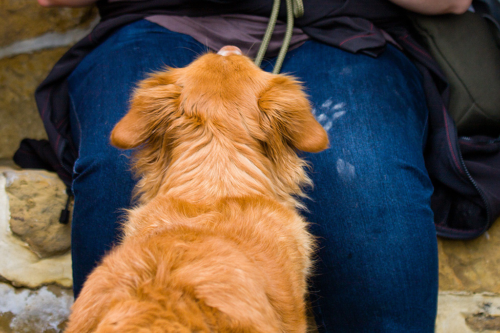 Frieda sitzt vor Julia und schaut zu ihr hoch